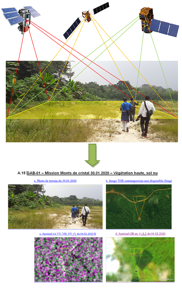 image des observations de terrain aux observations satellitaires